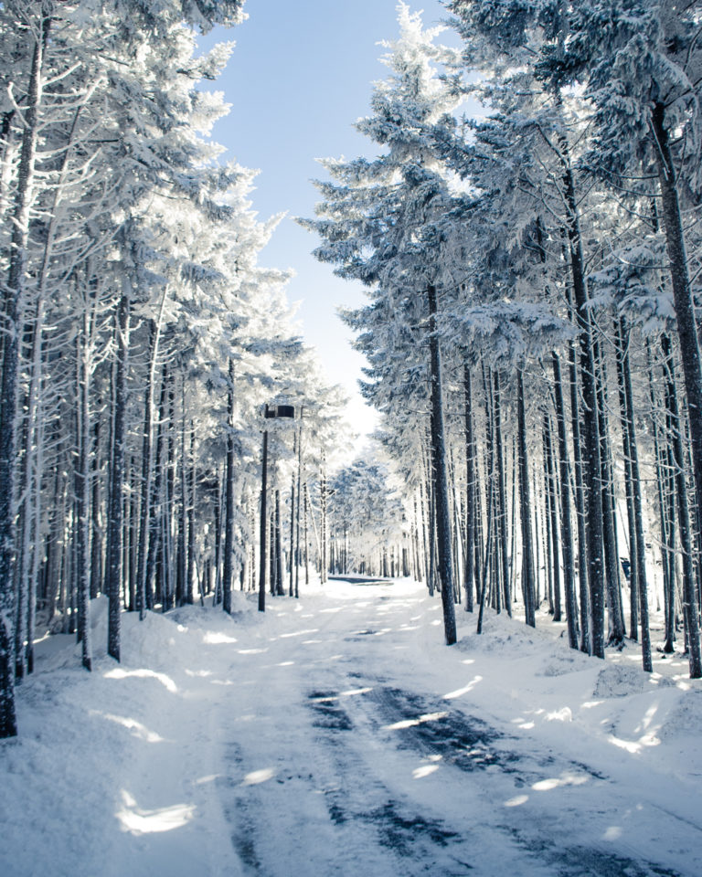 Snowshoe, WV