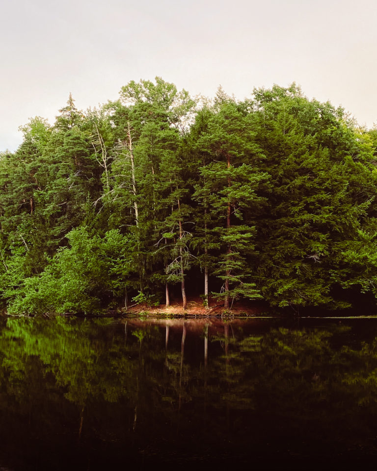 Commissioner's Cabin Lake