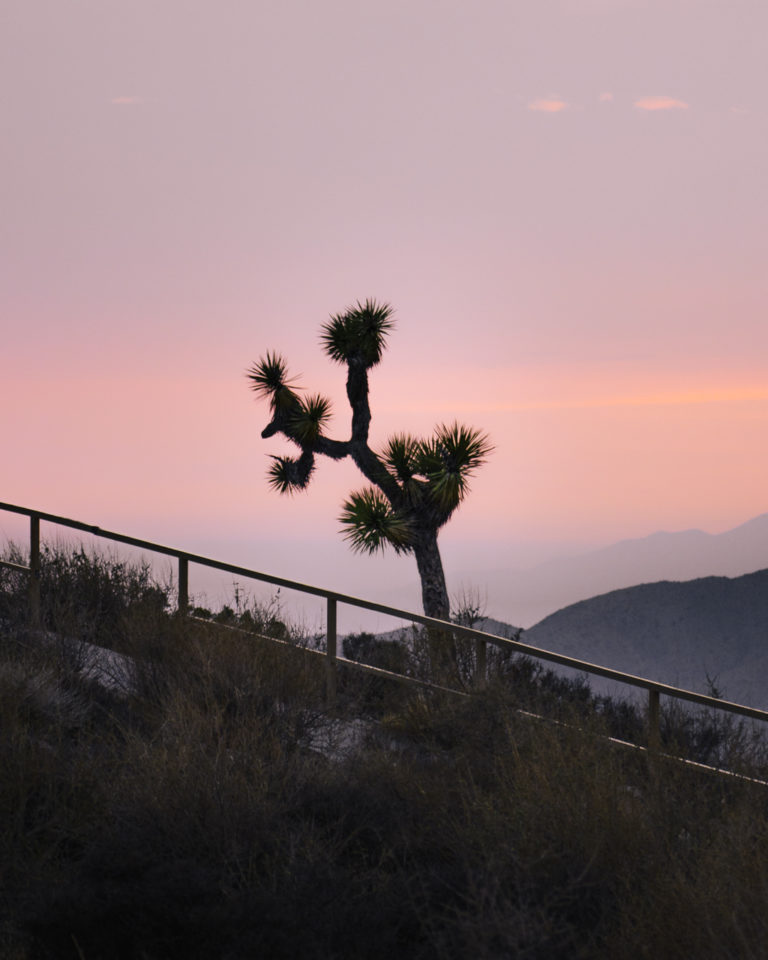 Keys Point, Joshua Tree NP